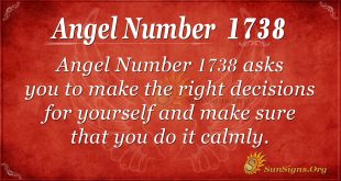Angel Number1738