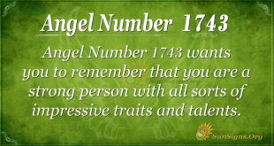 Angel Number1743