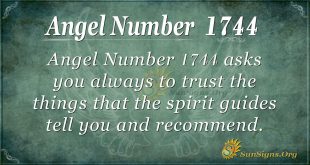 Angel Number1744