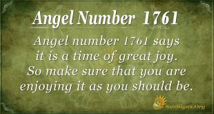 Angel Number 1761
