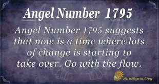 Angel Number 1795