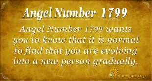 Angel Number 1799