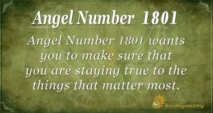 Angel Number 1801