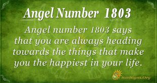 Angel Number 1803