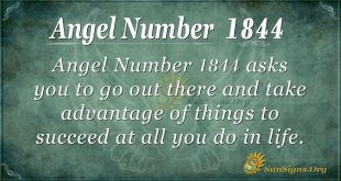 Angel Number 1844