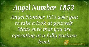 Angel Number1853