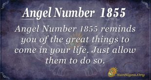 Angel Number1855