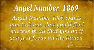 Angel Number 1869