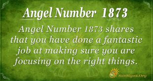 Angel Number 1873