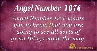 Angel Number 1876