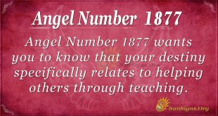 Angel Number 1877