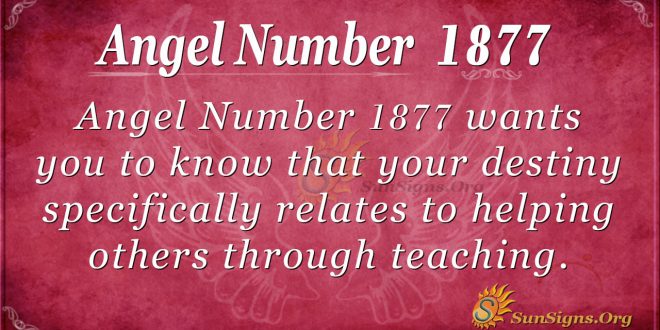 Angel Number 1877