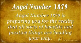 Angel Number 1879