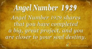 Angel Number 1929