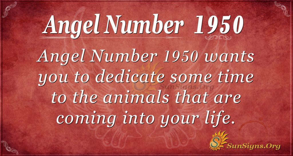 Angel Number 1950