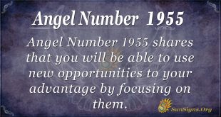 Angel Number 1955