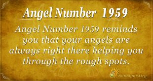 Angel Number 1959