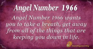 Angel Number 1966