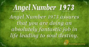 Angel Number 1973