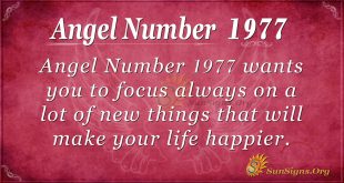 Angel Number 1977