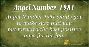 Angel Number 1981