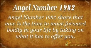 Angel Number 1982