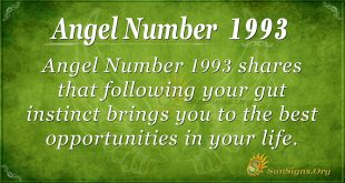 Angel Number 1993