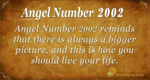 Angel number 2002