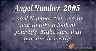 Angel Number 2005