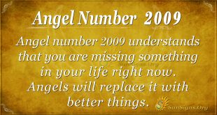 Angel Number 2009