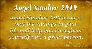 Angel Number 2019