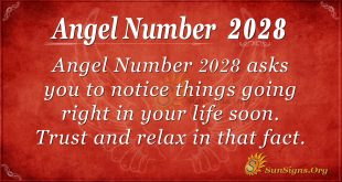 Angel Number 2028