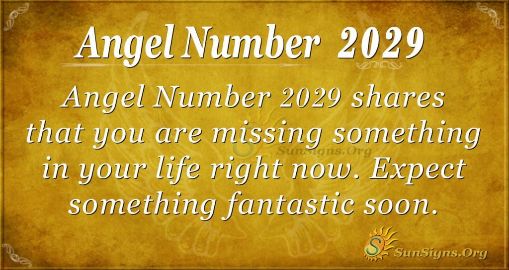 Angel Number 2029