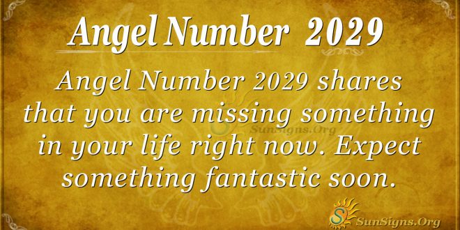Angel Number 2029