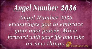 Angel Number 2036