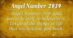 Angel number 2039