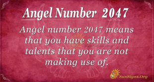 Angel Number 2047