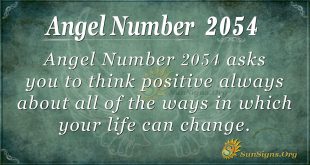 Angel Number 2054