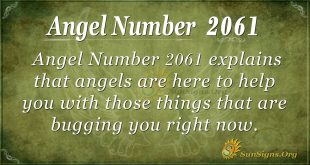 Angel Number 2061