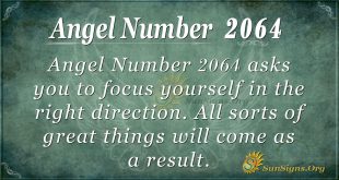Angel Number 2064