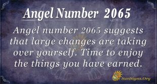 Angel Number 2065