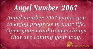 Angel Number 2067