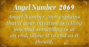 Angel Number 2069
