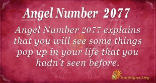 Angel Number 2077