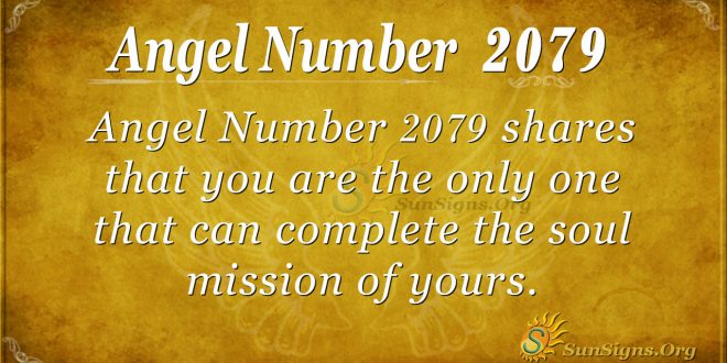 Angel Number 2079