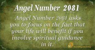 Angel Number 2081