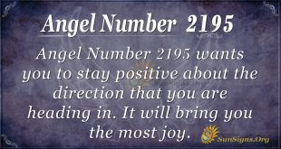 Angel Number 2195