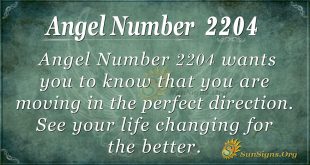 angel number 2204