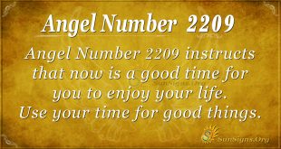 angel number 2209