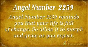 Angel Number 2259
